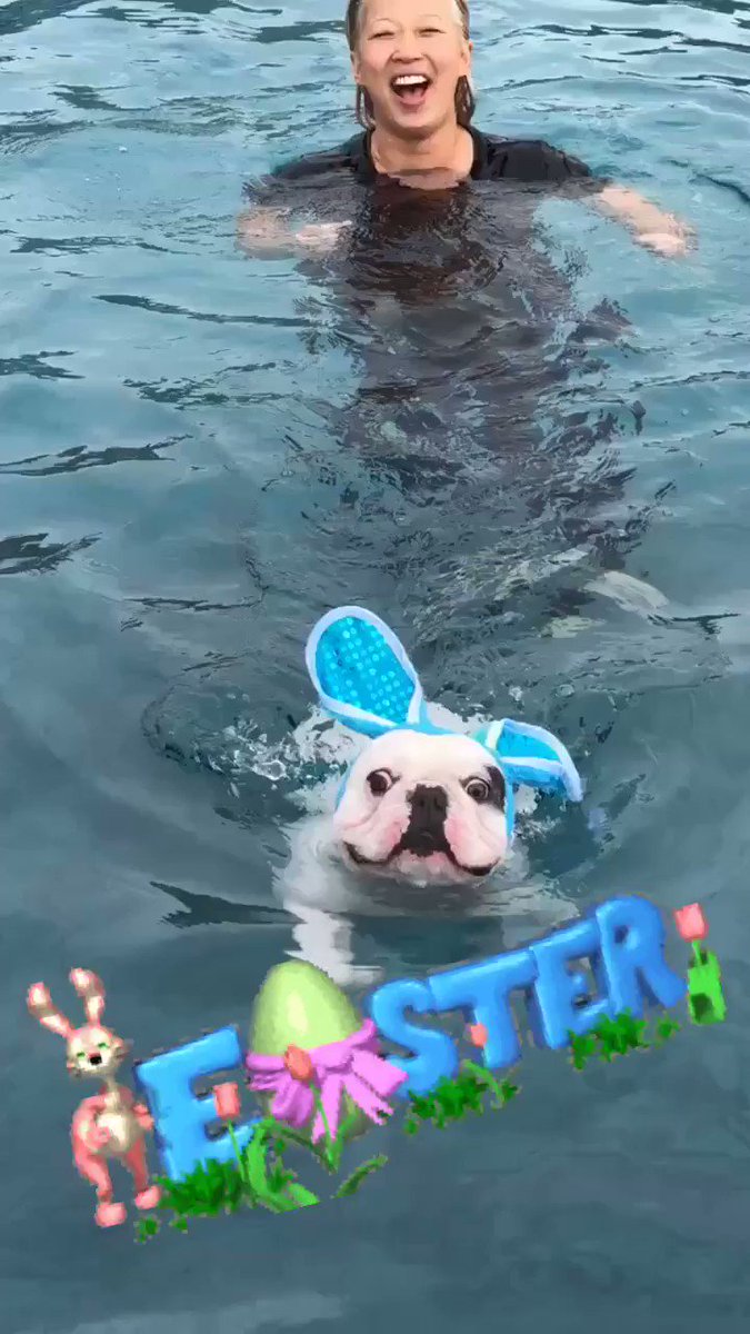 HAPPY EASTER from me, my friends, family and especially Gustave! My swimming spotted Easter BunnyBatPig! ???????????? https://t.co/zUQmDv6wJ4