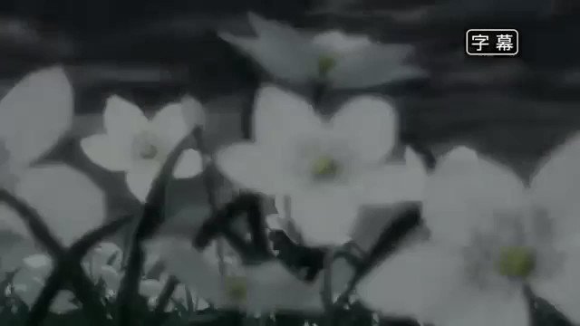3月16日1日1曲アニソン 166日目鋼の錬金術士 opよりスキマスイッチでゴールデンタイムラバー #1日1曲アニソン 3月16日1日1曲アニソン 166日目鋼の錬金術士 opよりスキマスイッチでゴールデンタイムラバー #1日1曲アニソン