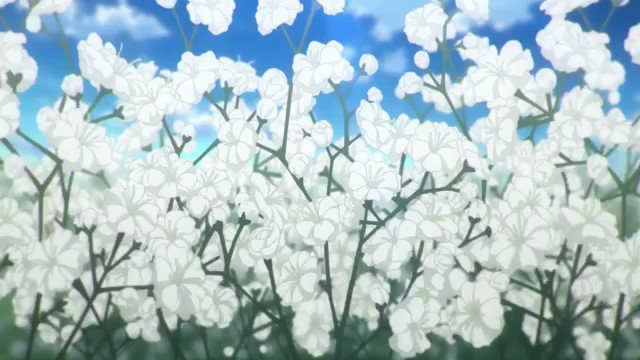 #1日1きらら 63,Baby's Breath「サクラクエスト」ED2より今日もサクラクエスト!最終回は感動しました! #1日1きらら 63,Baby's Breath「サクラクエスト」ED2より今日もサクラクエスト!最終回は感動しました!