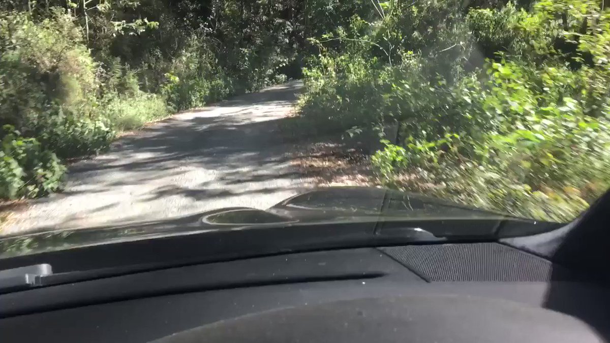 Road trip ?
Through the fire trails ... https://t.co/rFCGTmpqYQ