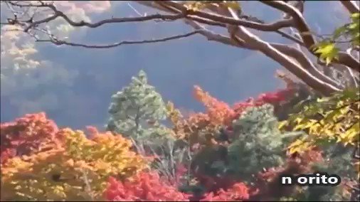 表示できませんでした。アップロード者により削除された可能性があります。他の写真をお楽しみください。