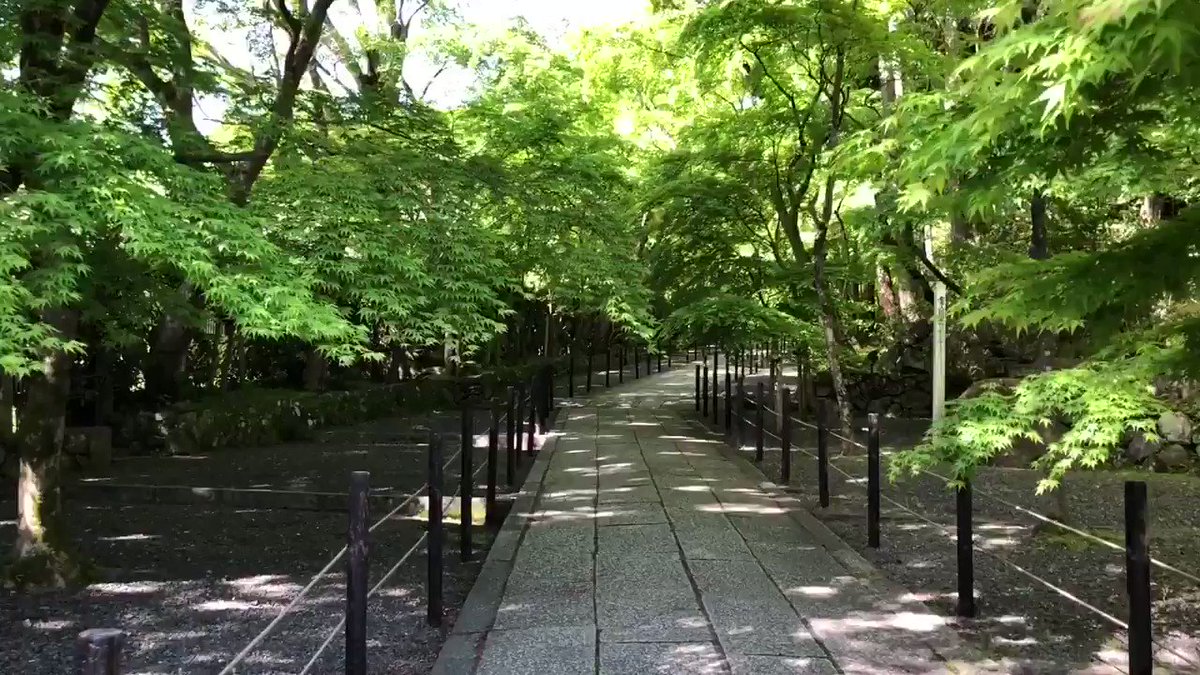 表示できませんでした。アップロード者により削除された可能性があります。他の写真をお楽しみください。