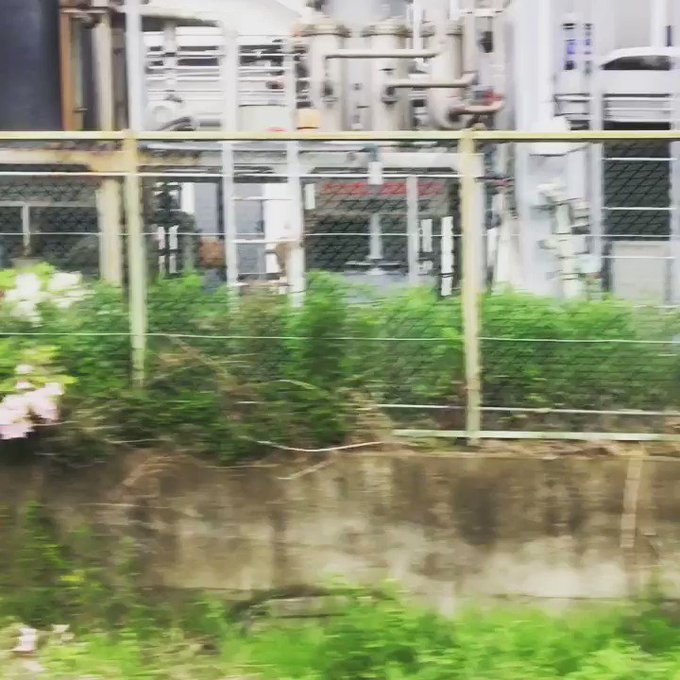 奈良線の車内に響き渡る、ちびまる子ちゃんのCM前のジングル(音量小さめ) 奈良線の車内に響き渡る、ちびまる子ちゃんのCM前のジングル(音量小さめ)