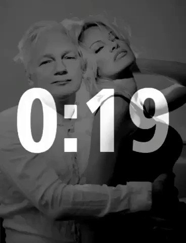 #freeassange https://t.co/ZrU9shXZve
