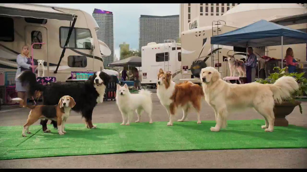 Check me out as Karma in #ShowDogsMovie! In theaters now https://t.co/MZD2uwRmra