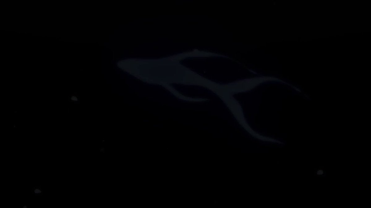 【第2弾PV公開】【放送・配信情報】TVアニメ「BANANA FISH」は2018年7月5日よりフジテレビ”ノイタミナ” 【第2弾PV公開】【放送・配信情報】TVアニメ「BANANA FISH」は2018年7月5日よりフジテレビ”ノイタミナ”