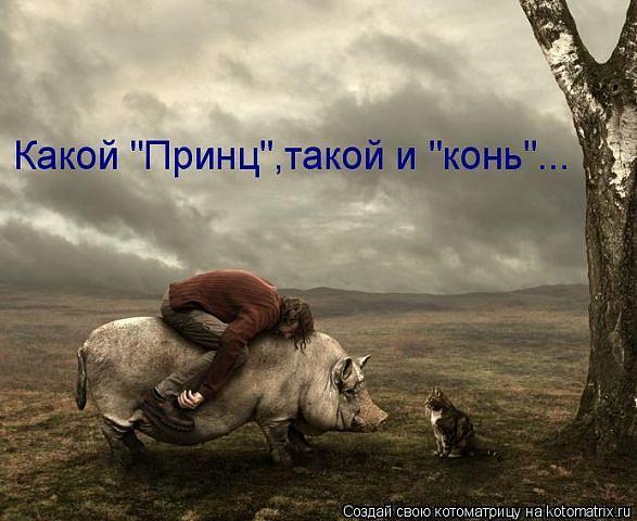 A8ZuMT5CUAAE6O2.jpg:large