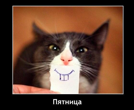 Фотография Глюкозы в Твиттере: @M_Galustyan: На дворе пятница, а Фотография Глюкозы в Твиттере: @M_Galustyan: На дворе пятница, а