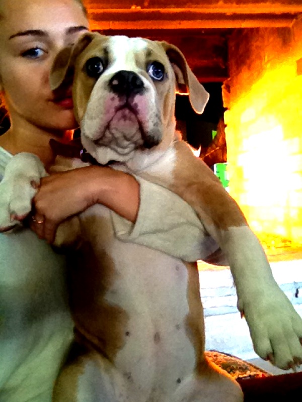 i love sunday fundays with my ziggy piggy