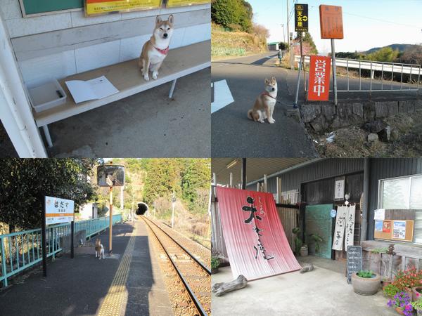 【巡礼犬エピソード0】凪あす。この聖地巡礼の後、2度目に波田須に来た時にひよこ軍さんに初めてお会いしました。「聖地巡礼犬 【巡礼犬エピソード0】凪あす。この聖地巡礼の後、2度目に波田須に来た時にひよこ軍さんに初めてお会いしました。「聖地巡礼犬