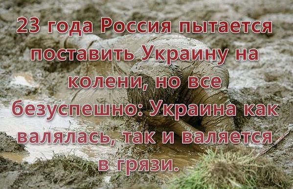 http://pbs.twimg.com/media/B0aEF6nIEAAQdeI.jpg