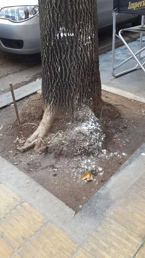 Polvo blanco en las esquinas de la puerta de una casa ( Tema serio
