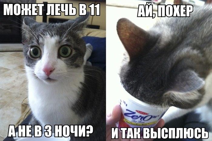 Влад Беришвили в Твиттере: "Надеюсь что высплюсь. http://t.co/A0rkU62goN"