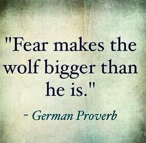 "fear makes the wolf bigger than he is." quit running from 
