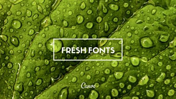 Fresh Font Inspiration -  via @Canva #designtips 