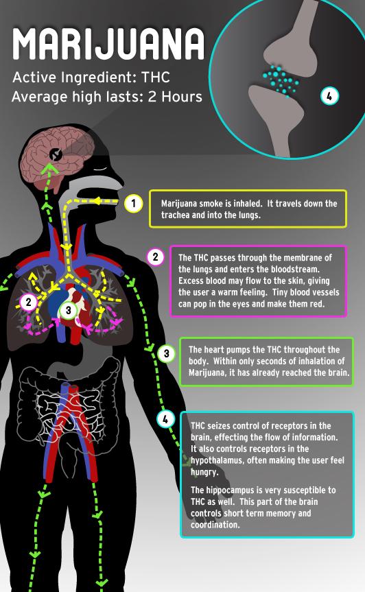 negative side effect of marijuana negative side effect of marijuana