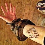Fear Isn\'t Real