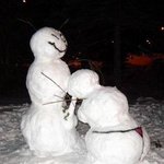 Porn stars shemale I m against gay marriage