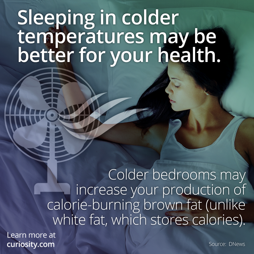 Is it better to bundle up at night, or sleep in colder temps? learn via