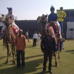 RT @rajasthanroyals: @sreesanth36 striking a mean pose atop one of the horses! A true Royal indeed! http://t.co/yW2wldKC