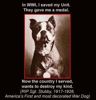 Know the facts. Educate don't discriminate. Many #pitbulls are heroes: #stubby #endBSL #military #savelives https://t.co/502YfP8lgG