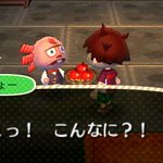 どうぶつの森