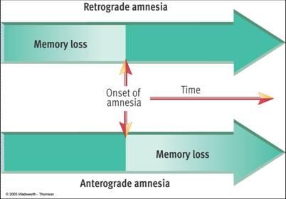 social amnesia examples social amnesia examples