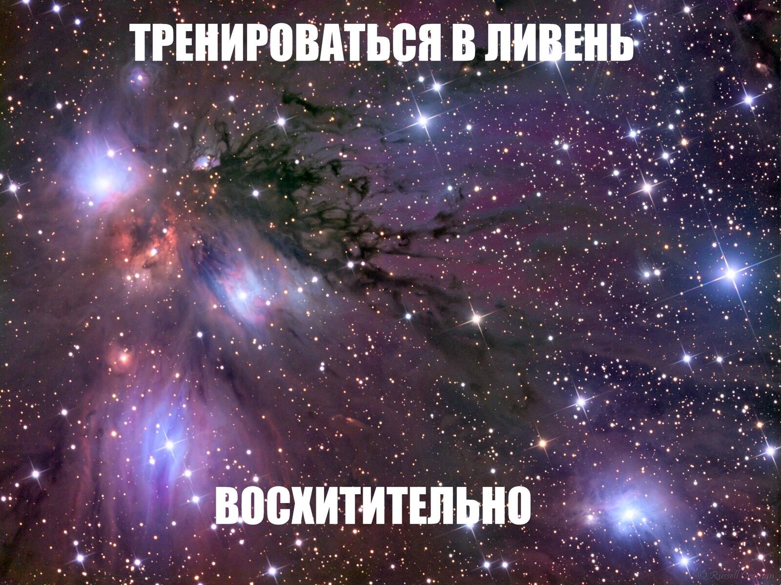 Оба девственники oba-devstvenniki