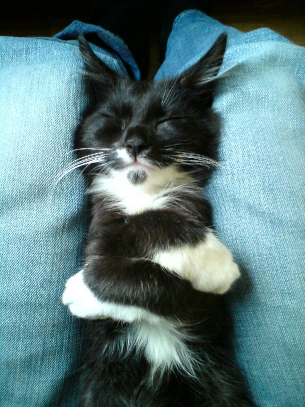 Little guy fell asleep, hugging himself. http://t.co/kKTUcTuJcP