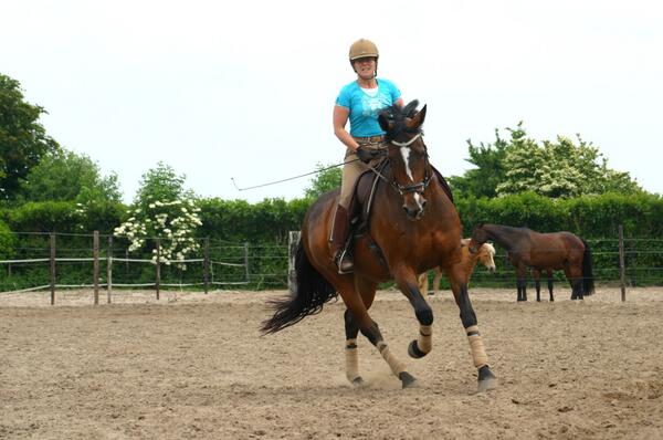 Bron: JS @Heiloo