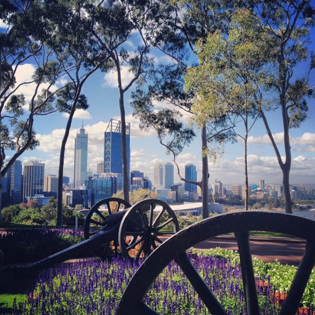 Beautiful #Perth #skyline snapped by @s_arabella at #KingsPark (Shared via IG) http://t.co/J4bhj3BXmL