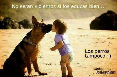'ENSEÑA A TUS HIJOS A RESPETAR Y AMAR A LOS ANIMALES.' http://t.co/Kwlq7GxuCD