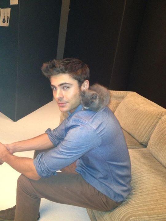 It's Friday & we felt like you deserved this. @ZacEfron with a kitten. You're welcome. http://t.co/BxGWymtzBX