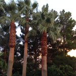 Korie Fera Koker (@KorieKoker) 's Twitter Pics