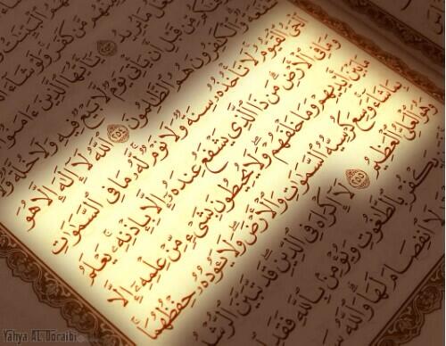 BUabAXGIQAAf70z.jpg:large