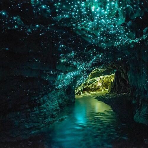 【天空の城ラピュタ】＠ニュージーランド ワイトモ鍾乳洞のツチボタルの光 飛行石の洞窟のモデルになったと言われているそうで