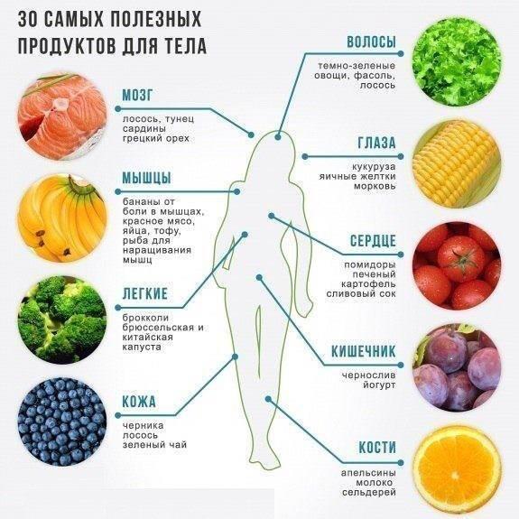 Введение Правильное Питание