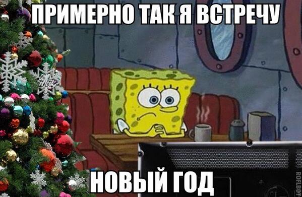 Коротко о том как я провел новый год Коротко о том как я провел новый год