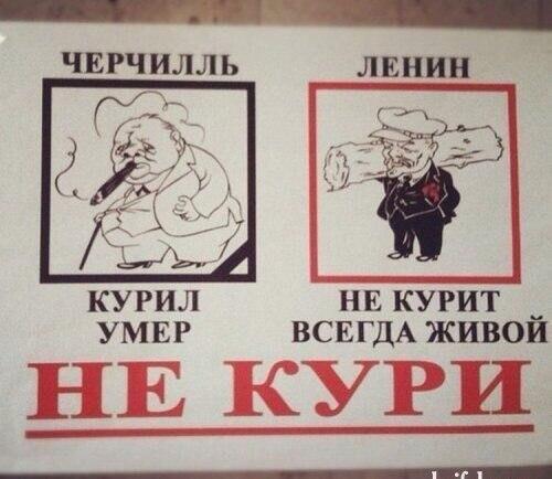 http://pbs.twimg.com/media/BZibfqJCcAA2kQn.jpg