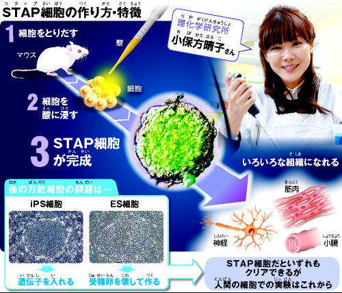 埋め込み画像への固定リンク