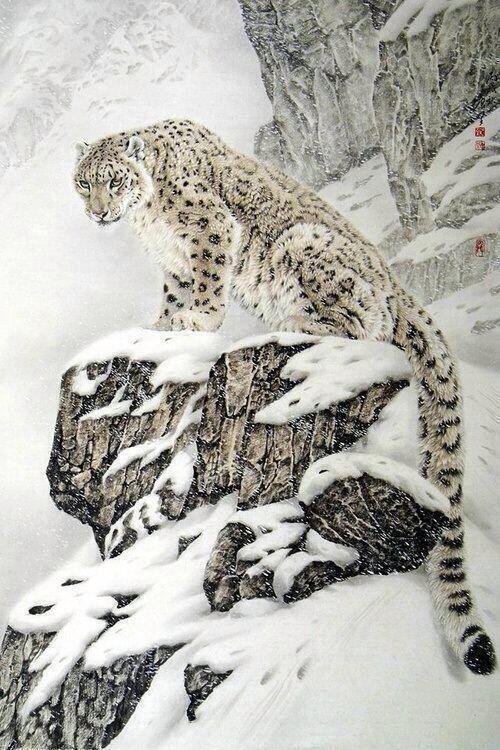 Snow Leopard in China. http://t.co/lWcISYfs9G
