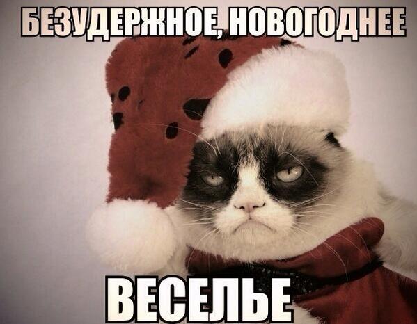 http://pbs.twimg.com/media/BczMSYJCcAAtpkl.jpg