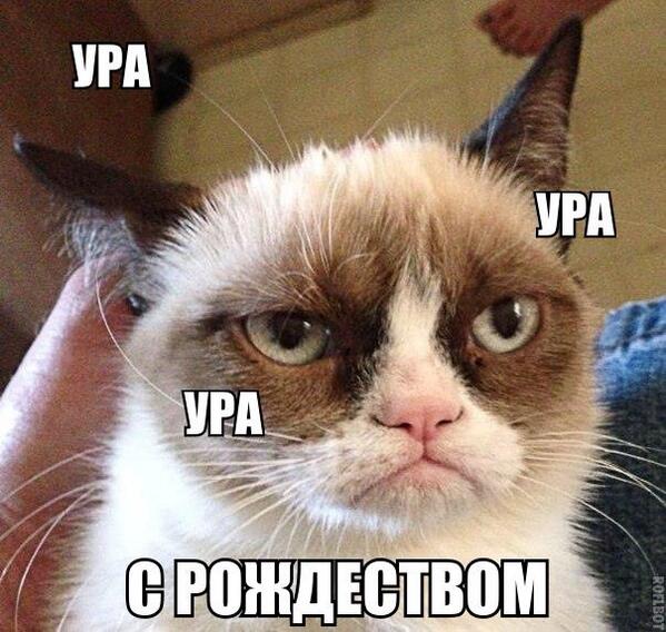 http://pbs.twimg.com/media/BdUpx_NIAAA-iHO.jpg
