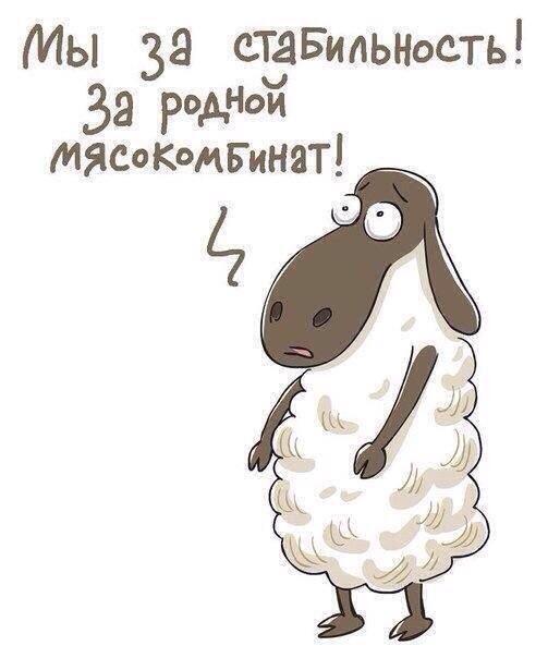 http://pbs.twimg.com/media/Bfzz7jCIIAAI_UI.jpg