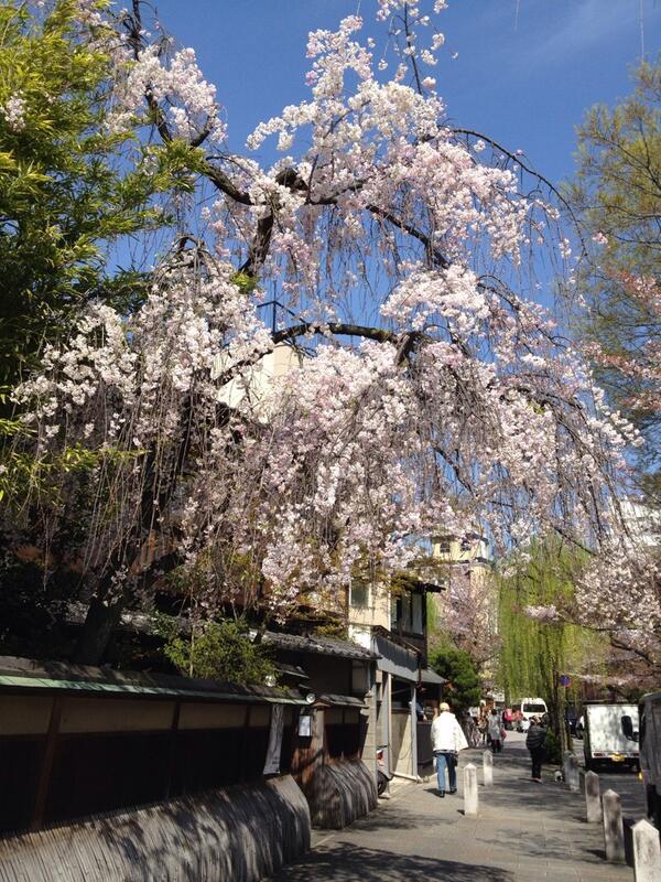 表示できませんでした。アップロード者により削除された可能性があります。他の写真をお楽しみください。