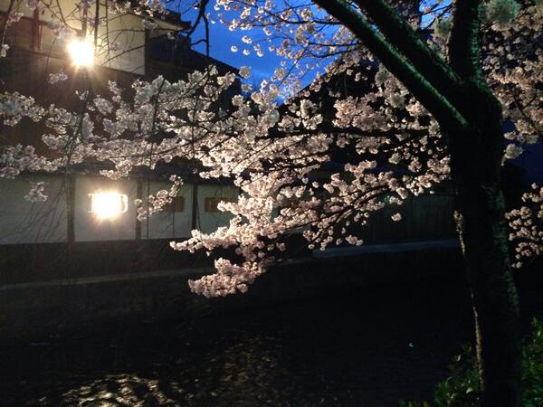 表示できませんでした。アップロード者により削除された可能性があります。他の写真をお楽しみください。
