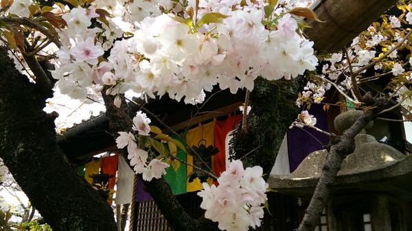 表示できませんでした。アップロード者により削除された可能性があります。他の写真をお楽しみください。