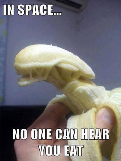 RT @GeorgeTakei: "Alien" designer H.R. Giger has died at the age of 74. Here's a toothsome tribute. May the heavens to which he is... http://t.co/Ib16qi1rHb