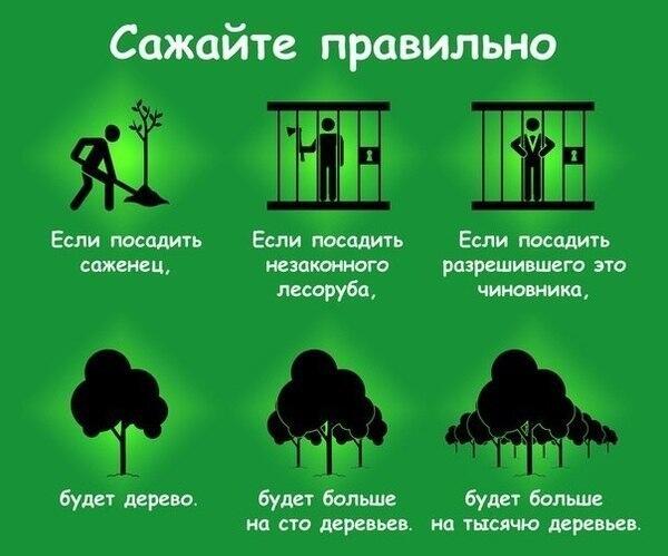 Почему себя сажая в Почему себя сажая в