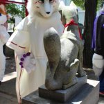 FursuitFriday